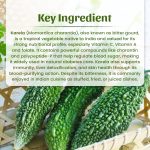 Karela Powder