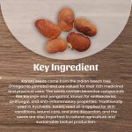 Karanj Seeds Powder