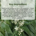 Neem Leaves Powder