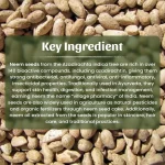 Neem Seeds Powder