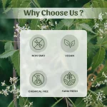 Neem Leaves Powder