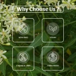 Neem Seeds Powder