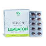 Avn Ayurveda Lumbaton SGC – 120 CAP