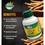 Zandu-Ashwagandha-Churna-–-60-Gm.png