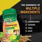 Zandu-Chyavanprash-Avaleha-–-900-Gm.png