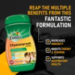 Zandu-Chyavanprash-Avaleha-–-900-Gm.png