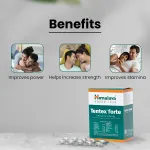 Himalaya-Tentex-forte-Tablet-–-10-Tab.png