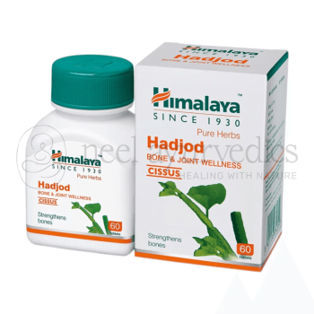 Himalaya Hadjod Tabletten - 60 Tabletten | Für Stärkt die Knochen