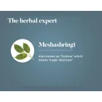 Himalaya-Meshashringi-Tablet-–-60-Tab.png