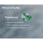 Himalaya-Punarnava-Tablet-–-60-Tab.png