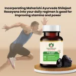 Maharishi-Ayurveda-Shilajeet-Rasayana-Tablet-–-60-Tab-800×800