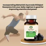 Maharishi-Ayurveda-Shilajeet-Rasayana-Tablet-–-60-Tab-1.png