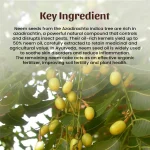 Neem-Oil