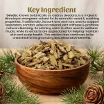 Devdar Whole Herbs Mockup