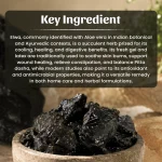 Elwa Whole Herb Mockup