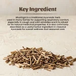 Bhoringani Panchang Whole Herbs Mockup