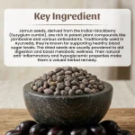 Jamun Seeds