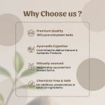 Jeera Seeds Whole Herbs Mockup