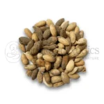 Neem Seeds