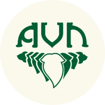 AVN Ayurveda