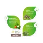 Kerala Ayurveda Imugest Tablet – 100 Tab