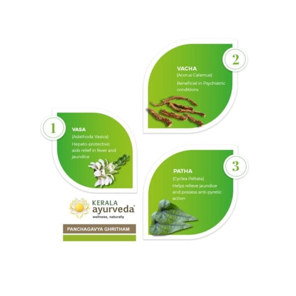 Kerala Ayurveda Panchagavya Ghritham – 150 ml