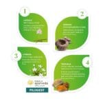 Kerala Ayurveda Pilogest Capsules – 100 Caps