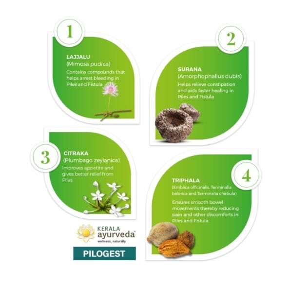 Kerala Ayurveda Pilogest Capsules – 100 Caps
