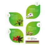Kerala Ayurveda Ashtavargam Kwath -200 ml