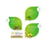 Kerala Ayurveda Guluchyadi Kwath- 200 ml
