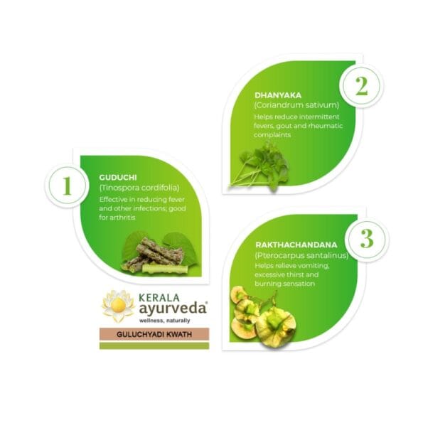 Kerala-Ayurveda-Guluchyadi-Kwath3-1000x1000