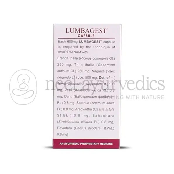Kerala Ayurveda Lumbagest Capsules – 100 Cap2