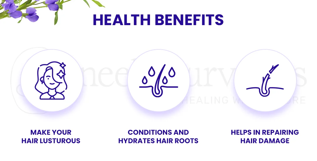 Indigo Powder Benefits