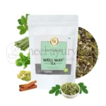 Wellway Mint Moringa Tea