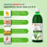 Krishna’s Herbal and Ayurveda Amla & Aloevera juice
