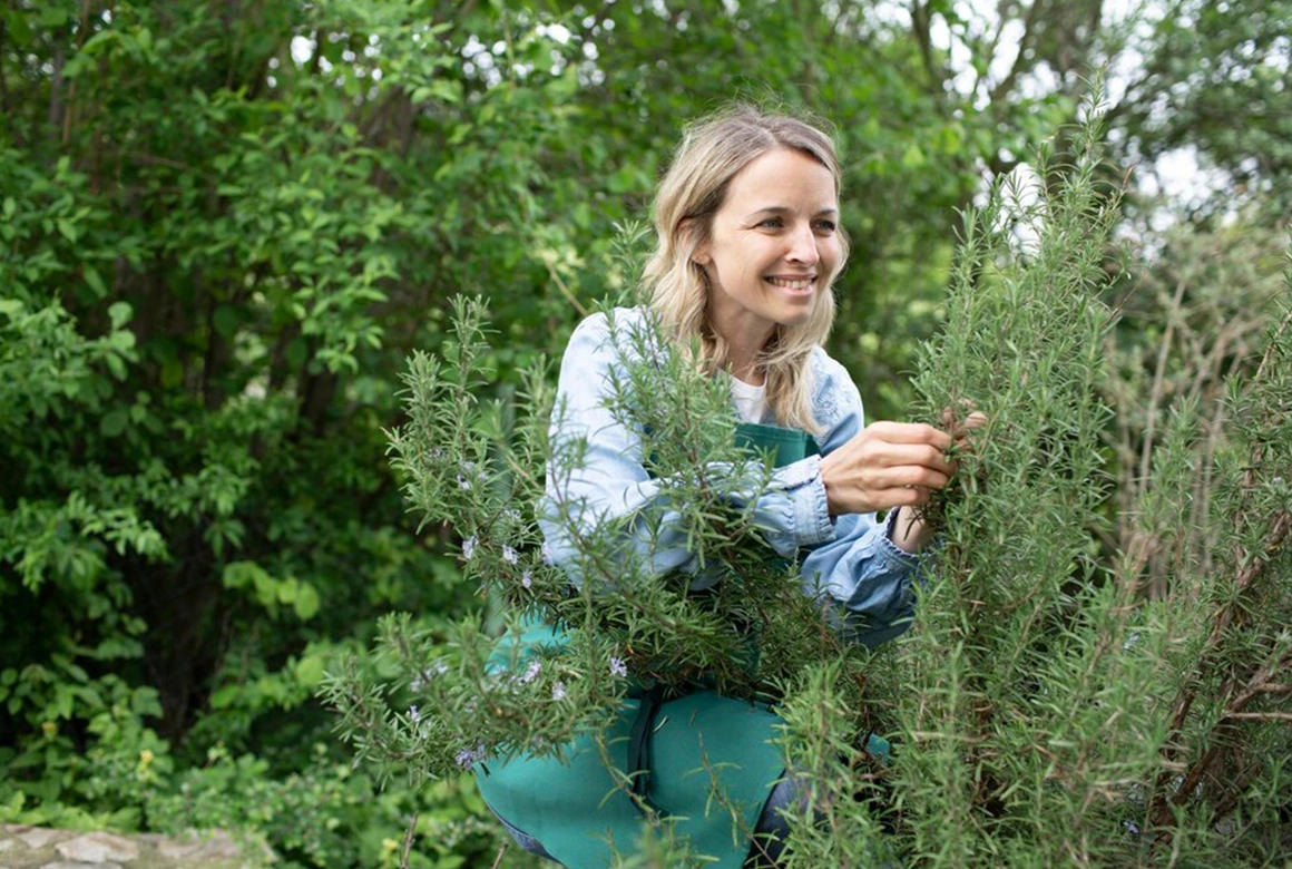 Ayurvedische Pflanzen Deutschland