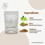 Neel Ayurvedics Rasayan Churna | Rasayan Powder | Urinary Disorders & Immunity