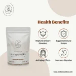 Neel Ayurvedics Rasayan Churna | Rasayan Powder | Urinary Disorders & Immunity