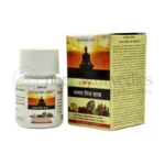 Maharshi-Badri-Manas-Mitra-Vatak-800×800