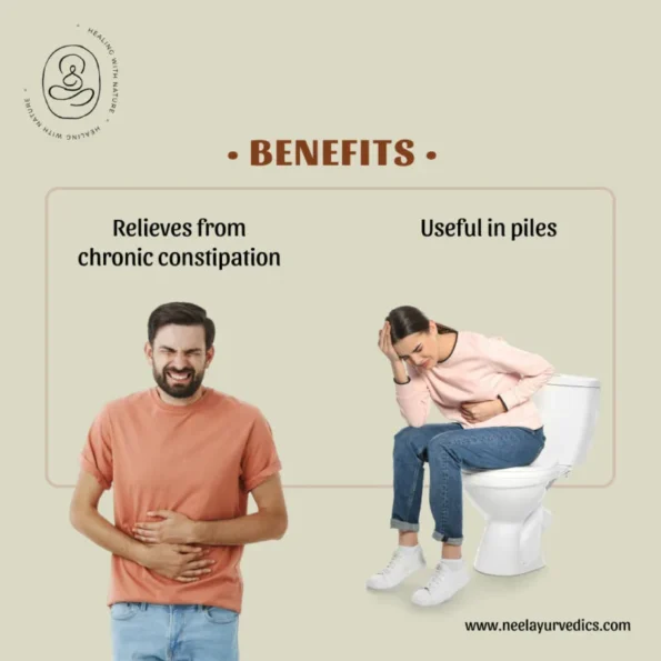 Neel Ayurvedics Aerandbhrust Harde (Haritaki)Tablet