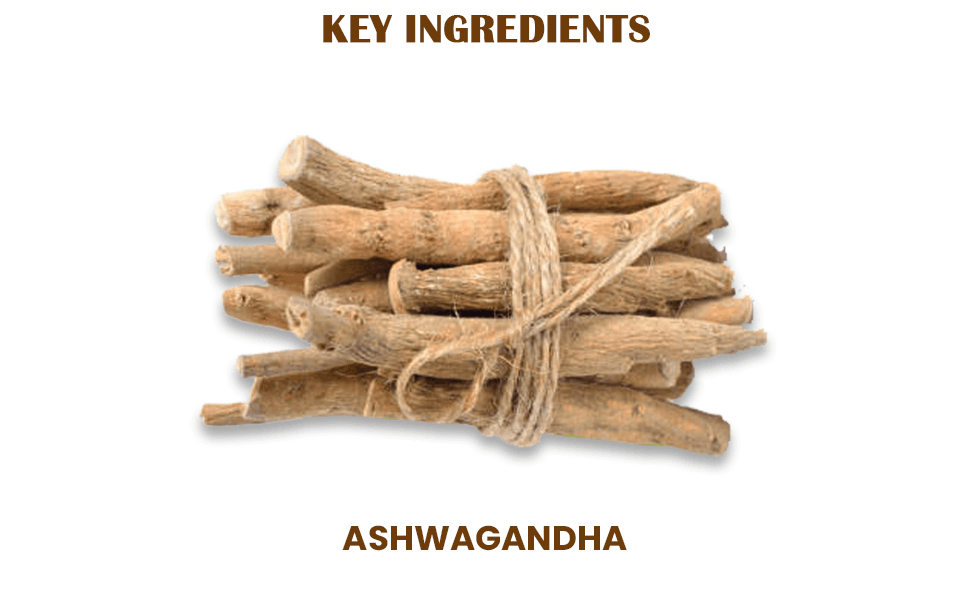 Neel Ayurvedics Ashwagandha Tabletten