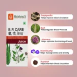 Krishna’s Herbal And Ayurveda BP Care Juice – 1000 ML