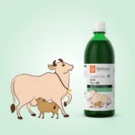Krishna’s Herbal And Ayurveda Gomutra Ark – 1000 ML