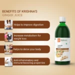 Krishna’s Herbal And Ayurveda Ginger Juice – 1000 ML