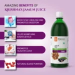 Krishna’s Herbal And Ayurveda Jamun Juice – 1000 ML1