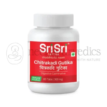 Sri Sri Tattva Chitrakadi-Gutika-Tabletten - 60 Tab