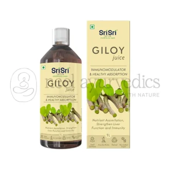 Sri Sri Tattva Giloy-Saft - 500 ML