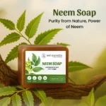 Neem Soap – Box1