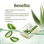 Aloevera Soap Box