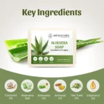 Aloevera Soap Box